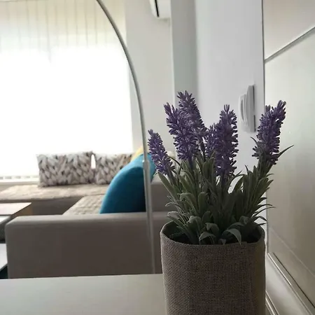Apartamento Regina's Luxury And View *